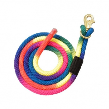 Rainbow Poly Strick - 5/8´ x 8´´ - Trigger Bull Snap - Haken auswechselbar