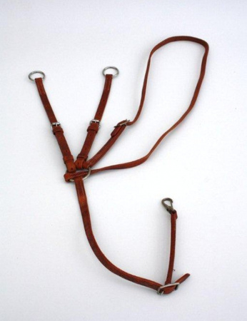 Running Martingal - Harness