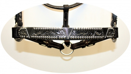 EE Tack Premium Show Halfter - SILBER - mit Führleine - DUNKELBRAUN - COB Size
