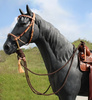 Hackamore Set - Bosal / Mecate und Kopfstück