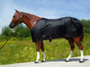 TOP SCORE Nylon Sommer Sheet - SCHWARZ - 74 bis 80