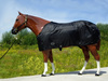 TOP SCORE Nylon Sommer Sheet - SCHWARZ - 74 bis 80