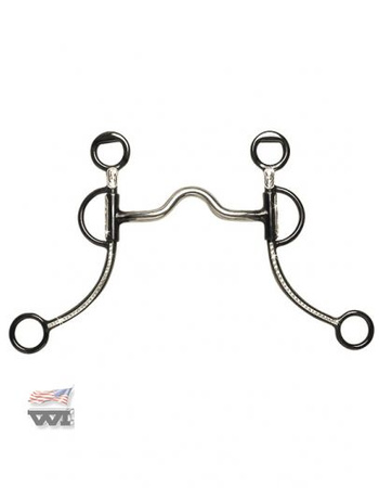 bit wi silver grazing