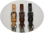 "EE Tack" Kinnketten - Show -  Stones on Buckle & Chain - 3 Farben