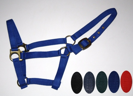 Professional Halfter - verschiedene Farben und Größen