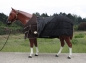 TOUGH HORSE - Regendecke MIT Unterdecke (300gr.) -1680D - SCHWARZ - 76 & 78